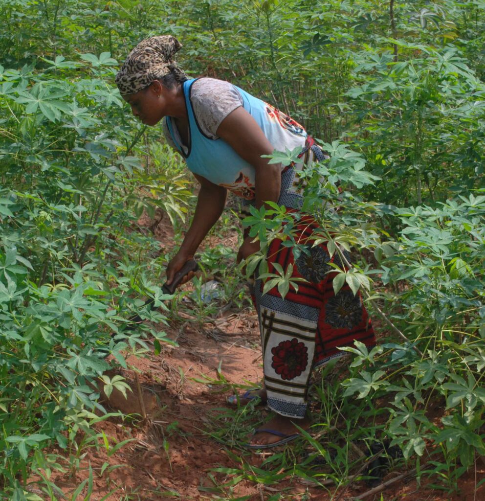 Nigerian Yorubá woman in field